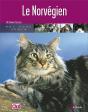 Le Norvégien - Preview