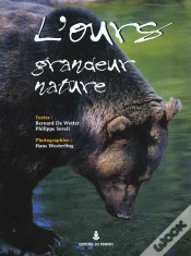 Capa do artigo Le Nouvel Age De L