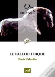 Le Paléolithique