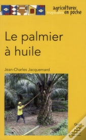 Le Palmier À Huile