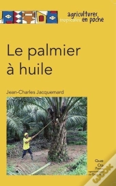 Le Palmier A Huile