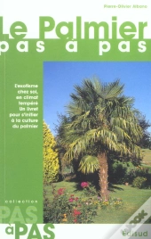 Le Palmier Pas A Pas