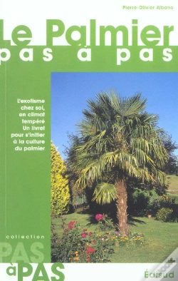 Capa do artigo Le Palmier Pas A Pas