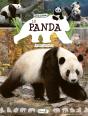 Le Panda - Preview