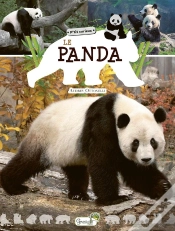 Capa do artigo Le Panda