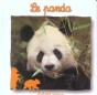 Le Panda - Preview