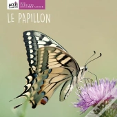 Le Papillon