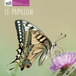 Capa do artigo Le Papillon