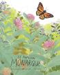 Le Papillon Monarque - Preview