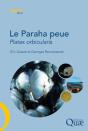 Le Paraha Peue - Preview