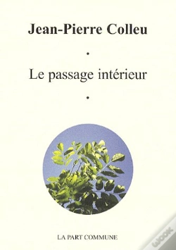 Capa do artigo Le Passage Interieur
