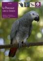 Le Perroquet Gris Du Gabon - Preview