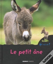 Capa do artigo Le Petit Ane