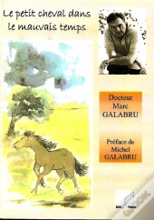 Le Petit Cheval Dans Le Mauvais Temps