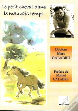 Capa do artigo Le Petit Cheval Dans Le Mauvais Temps