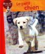 Le Petit Chien - Preview