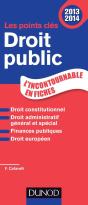 Le Petit Droit Public (Édition 2013) - Preview