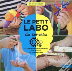 Capa do artigo Le Petit Labo Du Cerveau