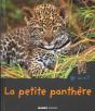 Le Petit Leopard - Preview