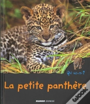 Capa do artigo Le Petit Leopard