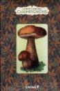 Le Petit Livre Des Champignons - Preview