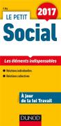 Le Petit Social 2017 ; Les Points Clés En 21 Fiches (12e Édition) - Preview
