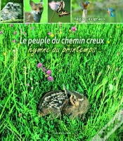 Capa do artigo Le Peuple Du Chemin Creux ; Hymne Au Printemps