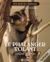 Capa do artigo Le Phalanger Volant