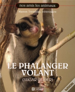 Capa do artigo Le Phalanger Volant