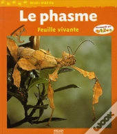 Le Phasme ; Feuille Vivante