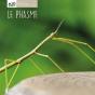 Le Phasme - Preview