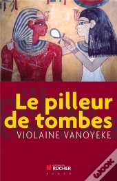 Le Pilleur De Tombes