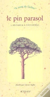 Capa do artigo Le Pin Parasol