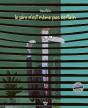 Le Pire N'Est Meme Pas Certain 2 (Ne2) - Preview