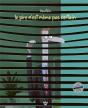 Le Pire N'Est Même Pas Certain - Preview