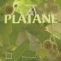 Le Platane - Preview