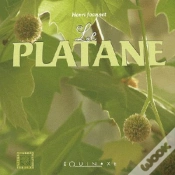 Capa do artigo Le Platane