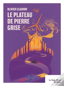 Capa do artigo Le Plateau De Pierre Grise