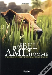Capa do artigo Le Plus Bel Ami De L