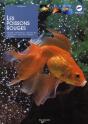 Le Poisson Rouge - Preview
