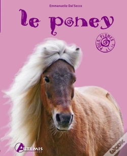 Capa do artigo Le Poney