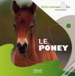 Capa do artigo Le Poney