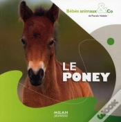 Capa do artigo Le Poney