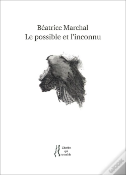 Capa do artigo Le Possible Et L'Inconnu