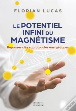 Capa do artigo Le Potentiel Infini Du Magnétisme : Réponses Clés Et Protocoles Énergétiques