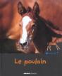 Le Poulain - Preview