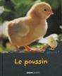 Le Poussin - Preview
