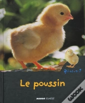Le Poussin