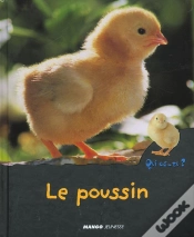 Capa do artigo Le Poussin