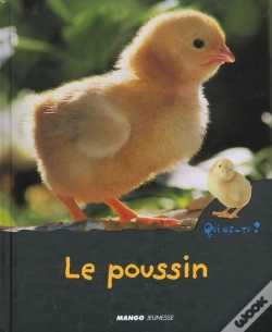 Capa do artigo Le Poussin